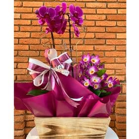 thumb-arranjo-com-orquideas-e-dendrobium-0