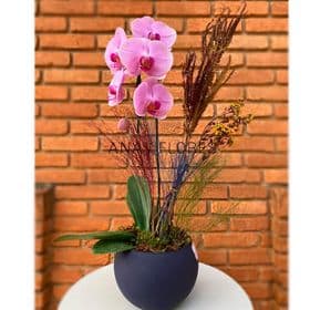 thumb-orquidea-em-vaso-de-vidro-0