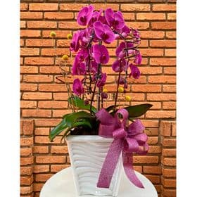 thumb-orquidea-3-cascatas-em-cachepo-especial-0